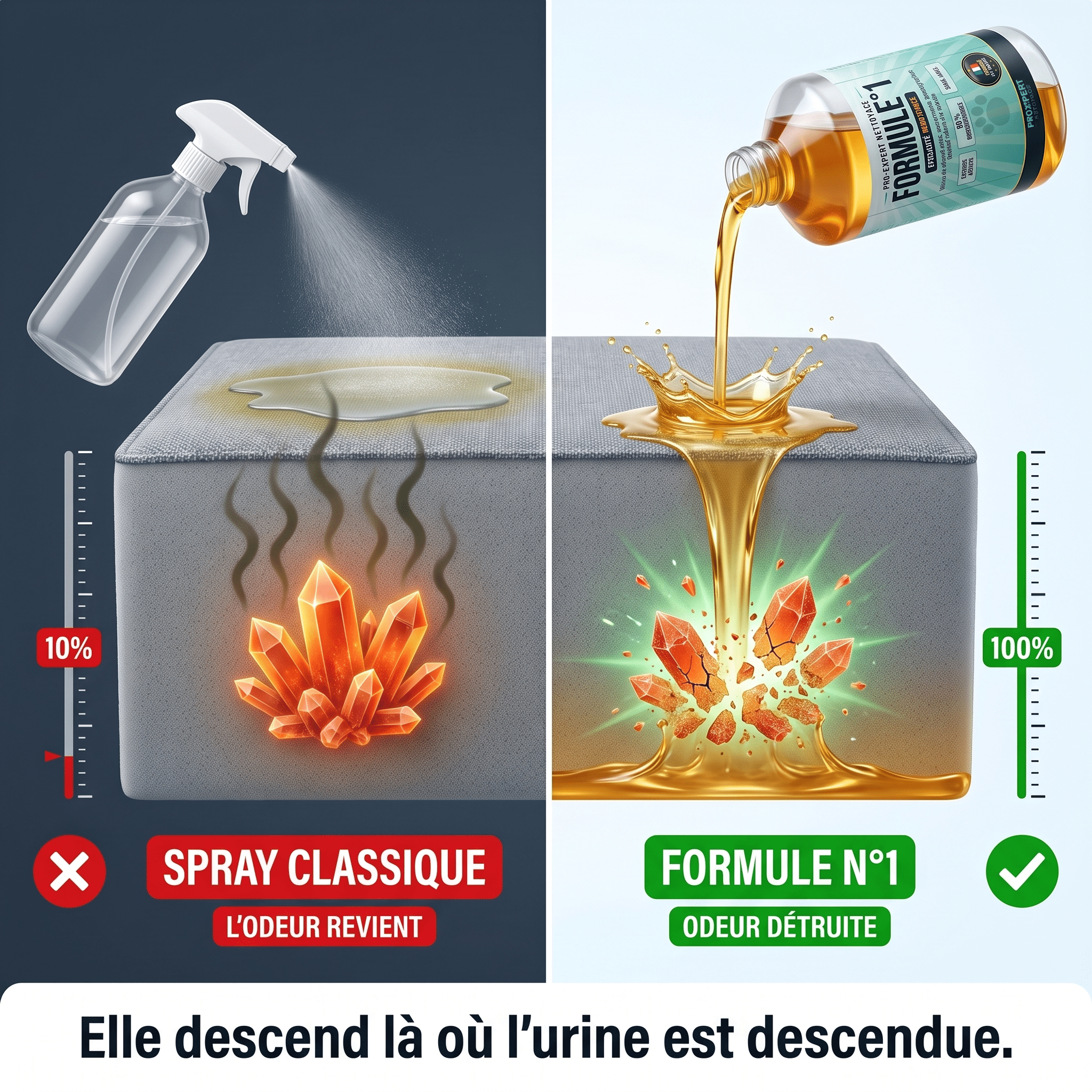 Formule 1 – Élimine Transpiration, Urine et Excréments d'Animaux - ProExpertNettoyage