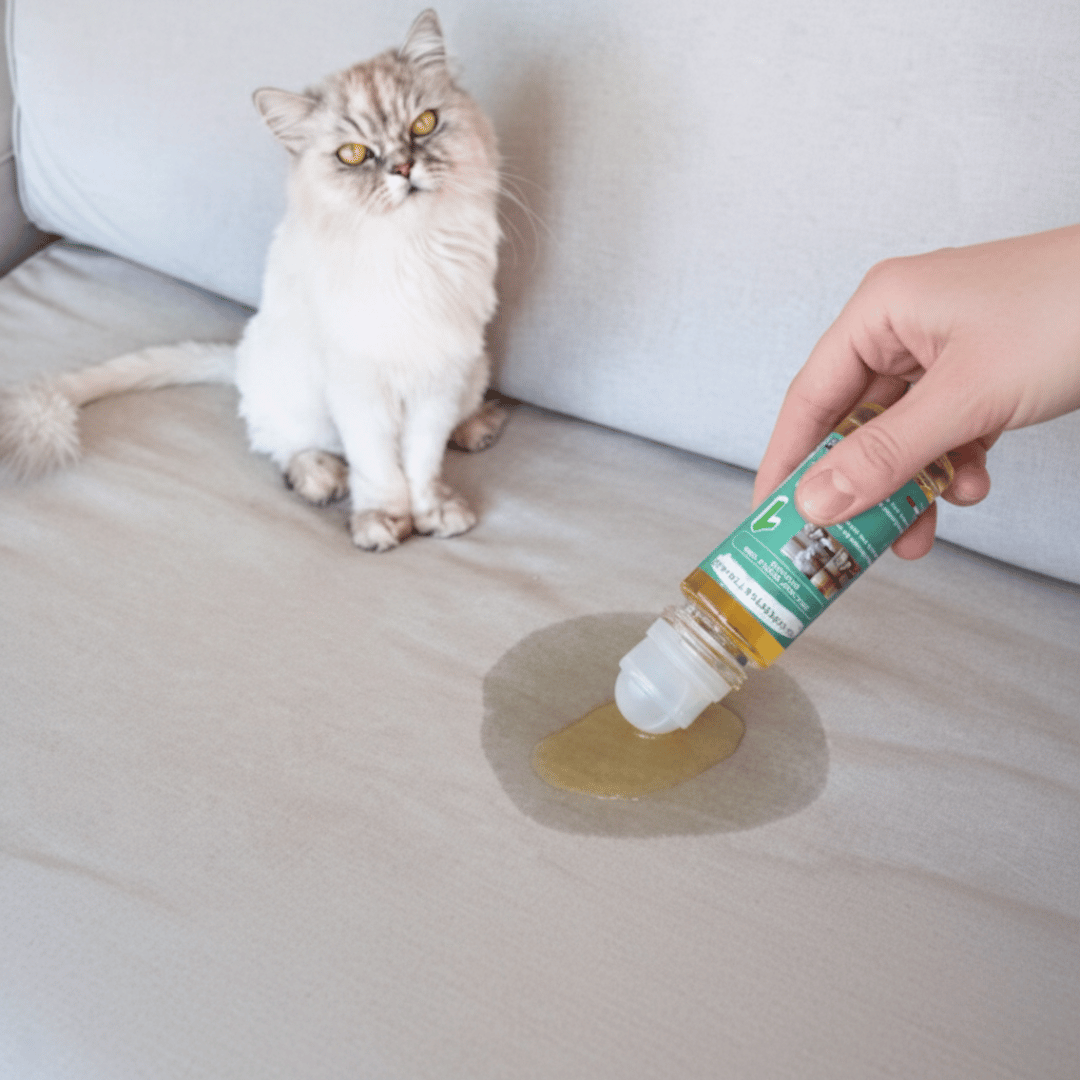 Roll - On Détachant Textile – Élimine Transpiration, Urine & Odeurs – Usage Rapide Sans Rinçage - ProExpertNettoyage