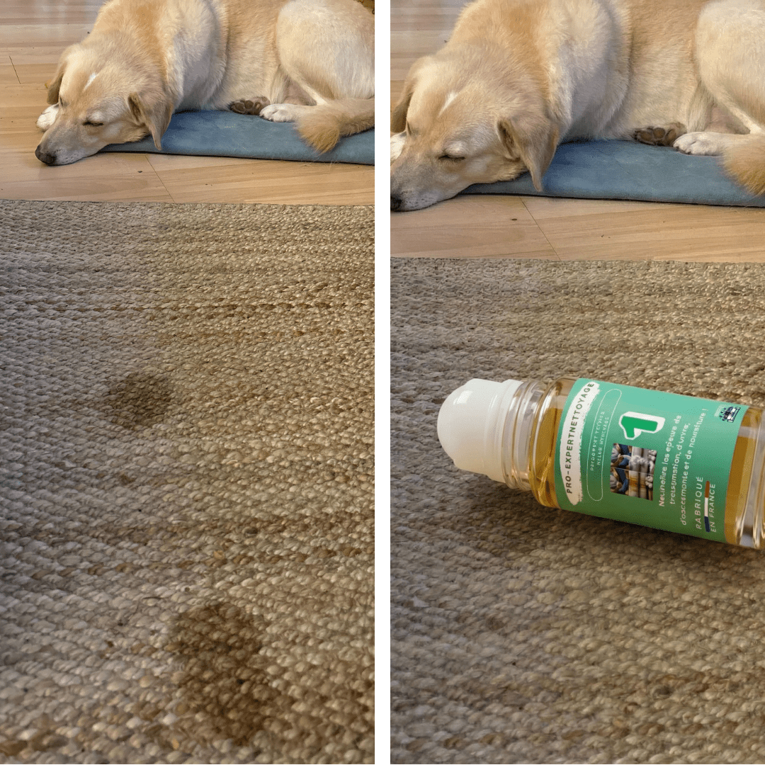 Roll - On Détachant Textile N°1 – Odeurs & Taches Organique (Transpiration, Urine…) - ProExpertNettoyage